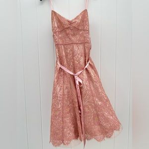 Ann Taylor pink lace petite dress